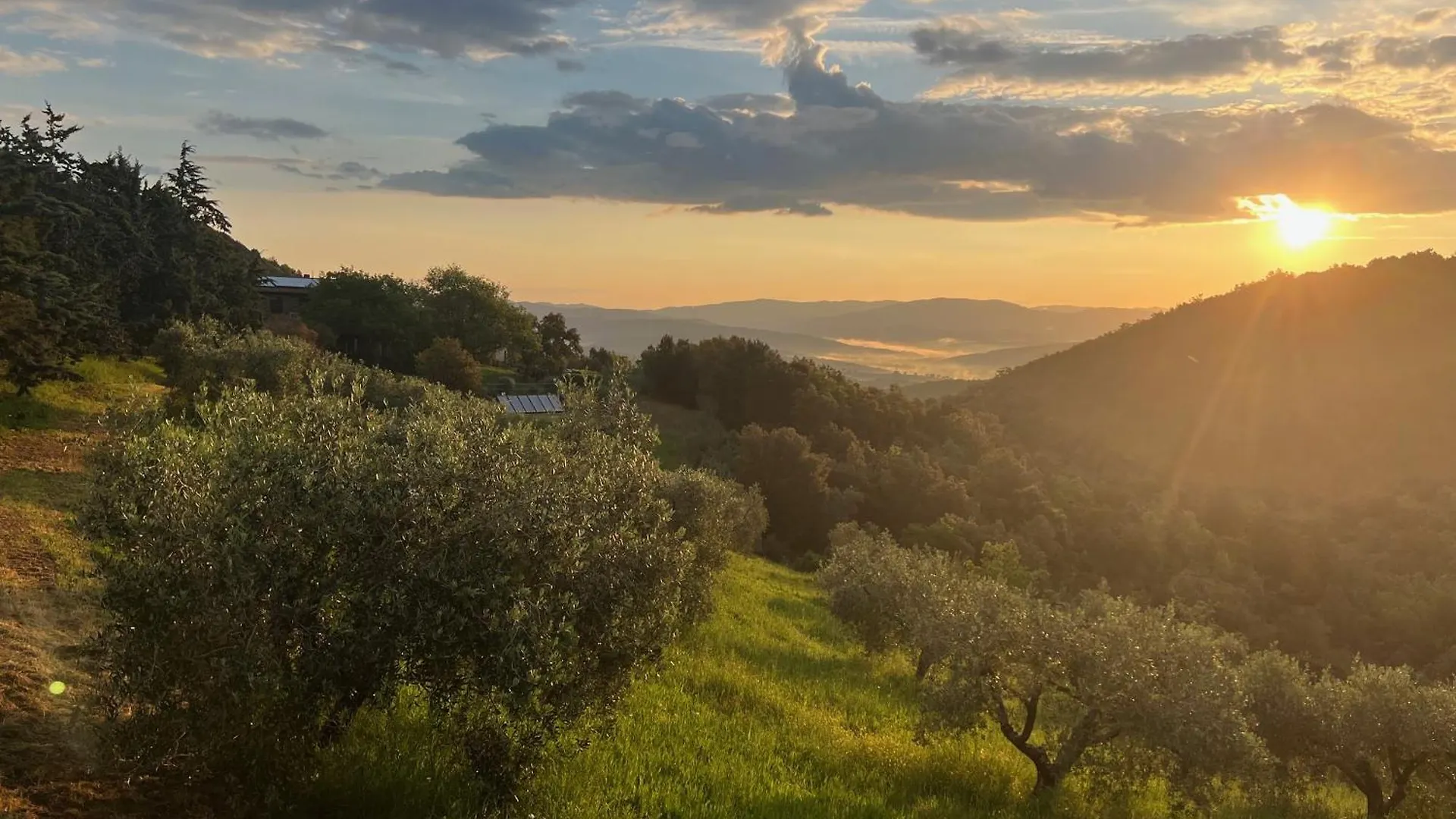 Landhaus Gasthaus Poggio Ferrone Suvereto